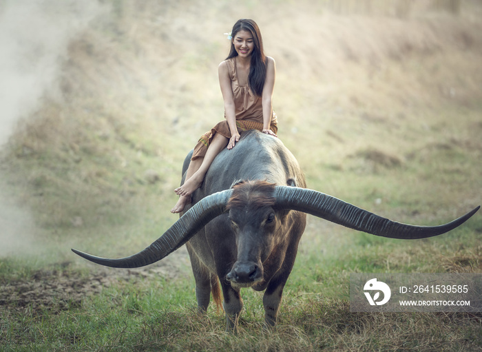 Asian woman (Thai) farmer with a buffalo in the field