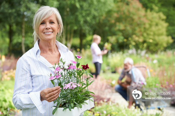 Mature Woman Choosing Plants At Garden Center