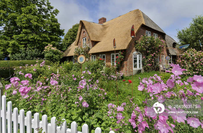 Friesenhaus auf der Nordseeinsel Föhr