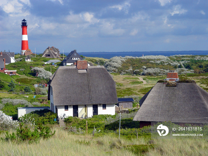 Leuchtturm Sylt Hörnum mit Häusern