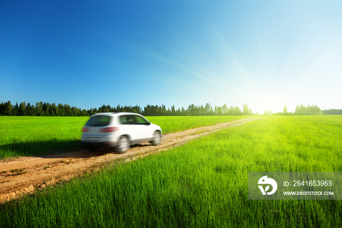 spring field and blured car on ground road