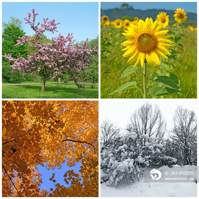 春天，夏天，秋天，冬天。四个季节。