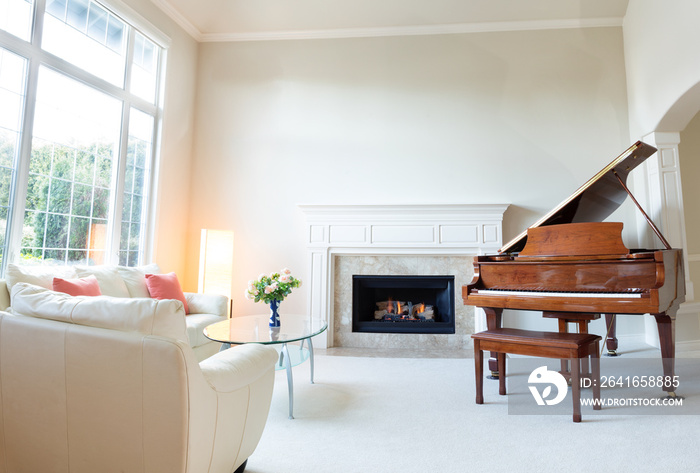 Living room decorated with leather sofa and piano with fireplace