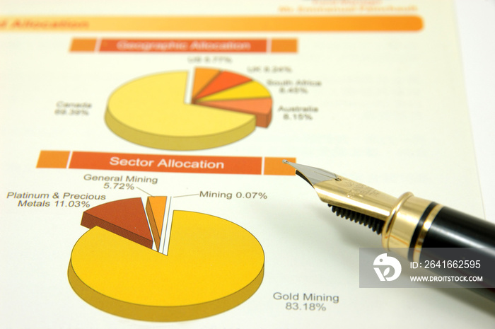 pie chart with fountain pen