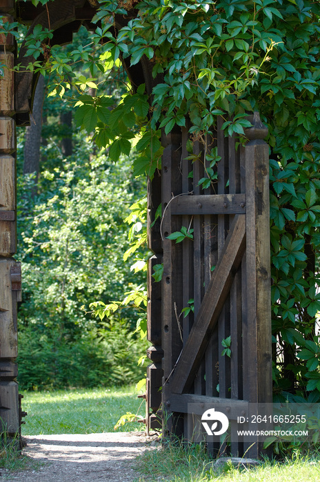 敞开的木门上装饰着绿色的攀缘植物。