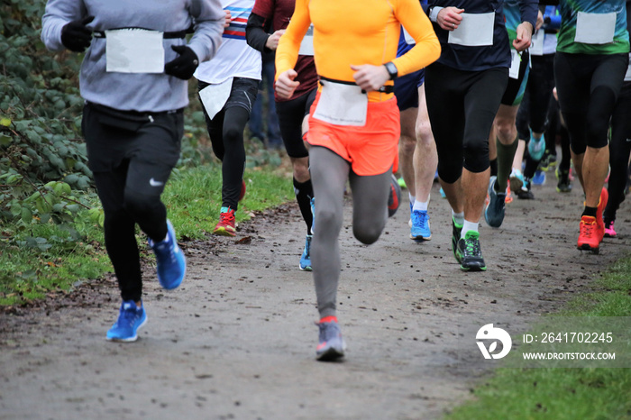 Athletes running forest marathon