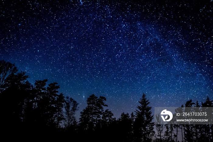 Night sky over rural landscape