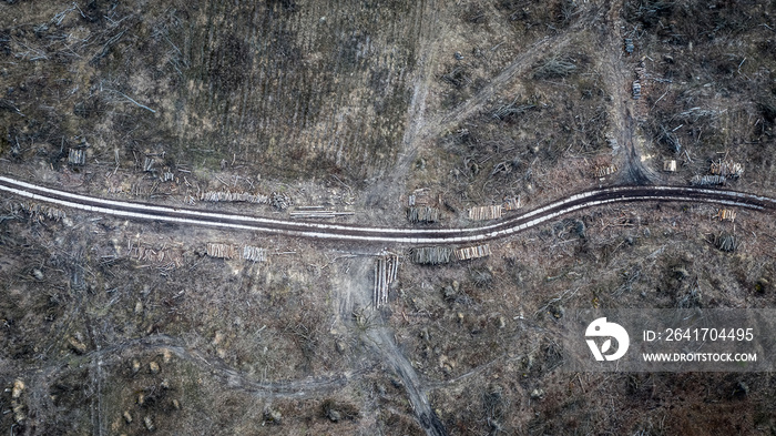 Horrible deforestation. harvesting a forest, aerial view of Poland