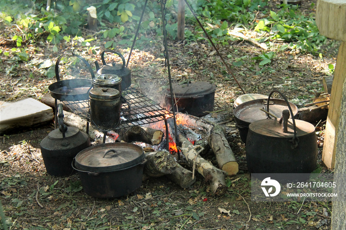 木火周围的锅和锅的集合。