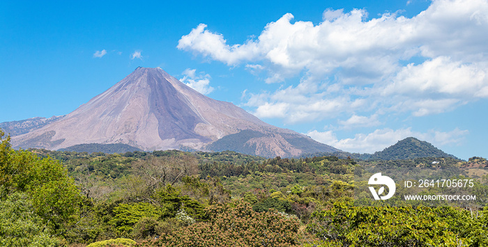 背景是植物和科利马火山，蓝天