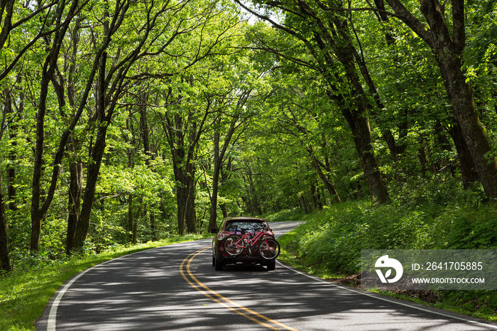 Car carrying bikes on a scenic route in a US national park