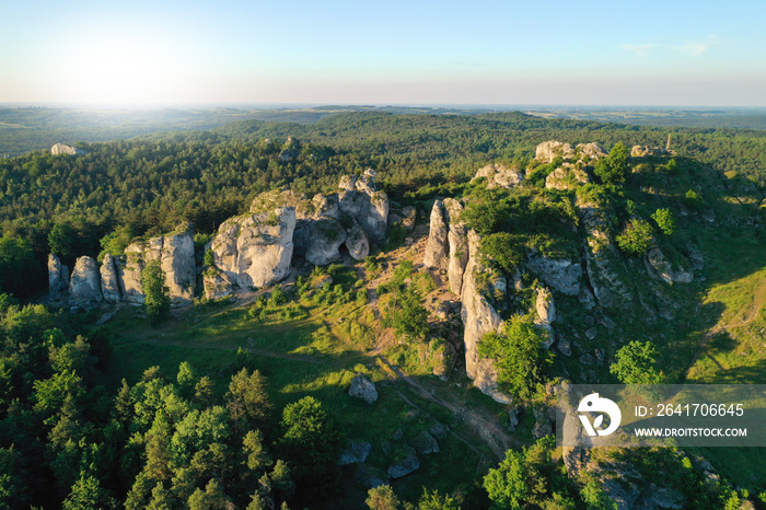 波兰Jura Krakowsko Czestochowska的石灰岩