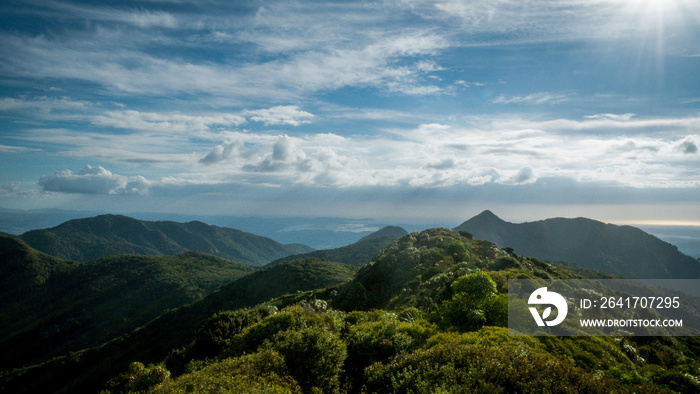 新西兰北岛怀卡托地区皮龙加森林公园皮龙加山的景色