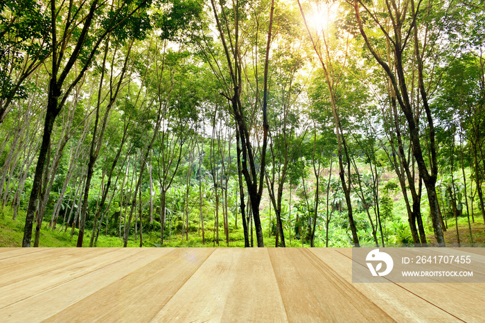 Empty top wooden table on rubber plantations in southern Thailand