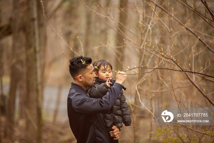 Father carrying cute daughter while looking at bare tree in forest