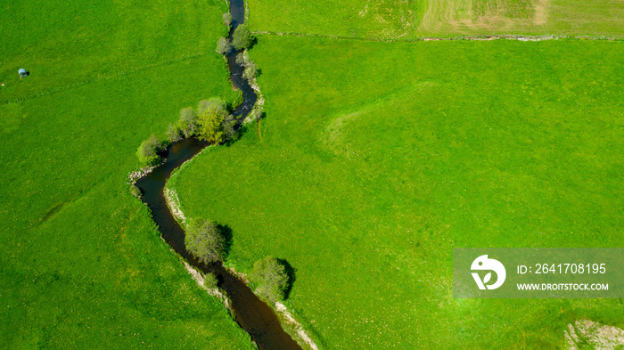 river and green meadow, aerial view