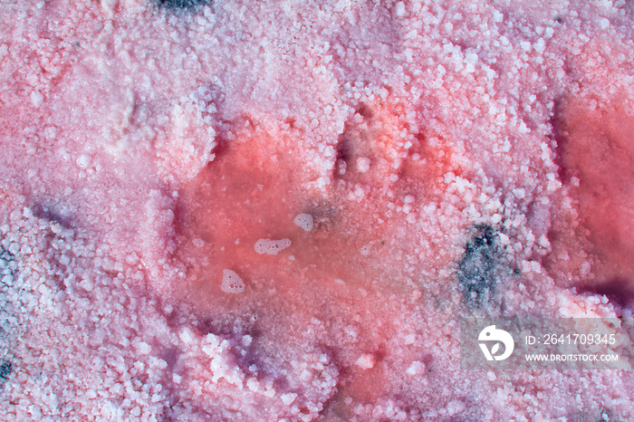 Salt, brine and mud of pink salty Sivash Lake near Azov Sea, colored by micro algae Dunaliella salin