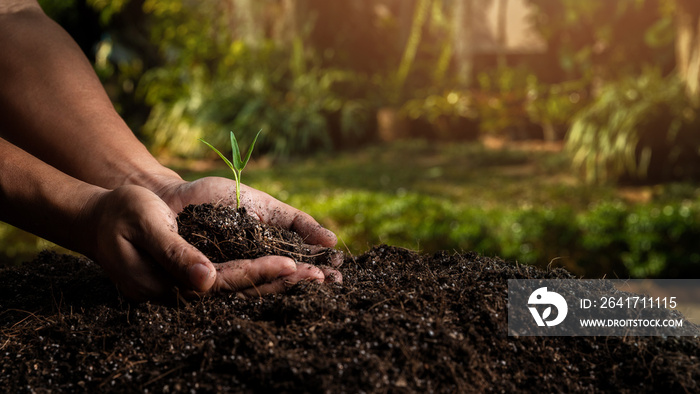 closeup hand of person holding abundance soil with young plant. Concept green world earth day