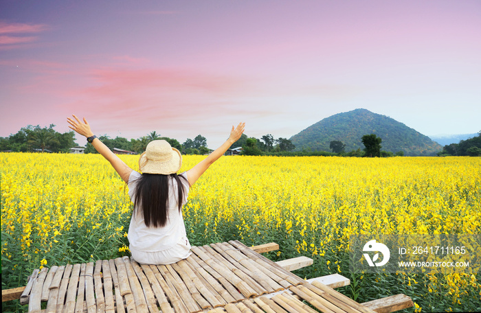 Happy asian woman is raising arms to the sky in Field of yellow flowers (Sunhemp) at summer, Thailan