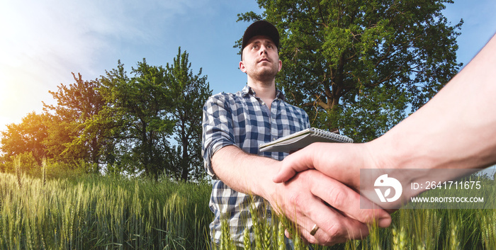 male agronomist in cap takes notes in a notebook on a green agricultural field of wheat