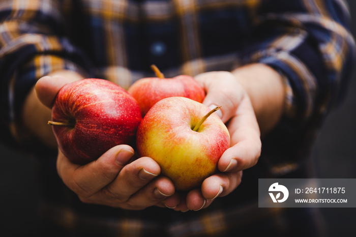 man holding apples in his hands wearing flannel