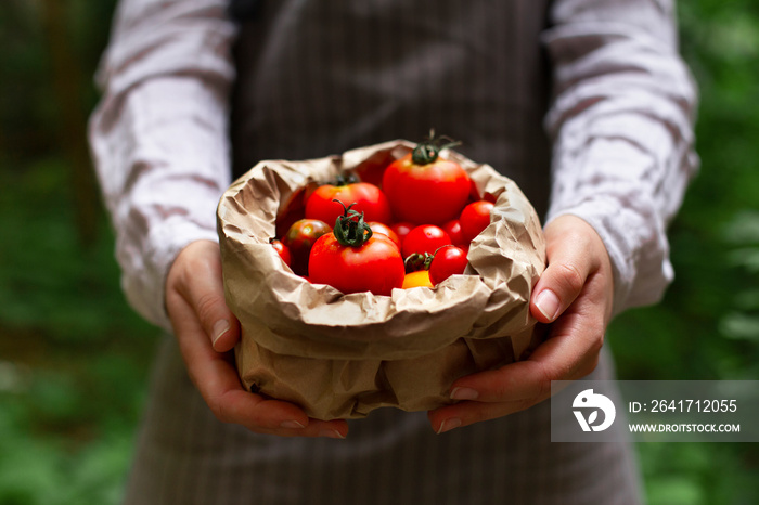 Man holds organic and fresh tomatoes in eco bag