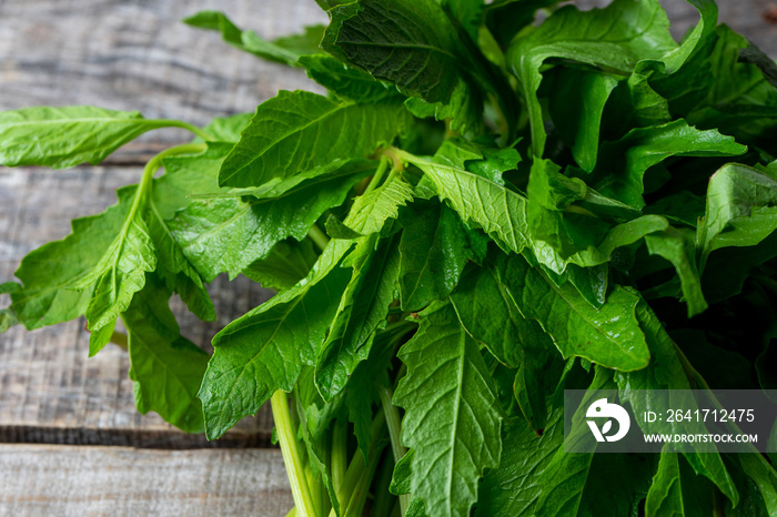 Mexican epazote herb on wooden background