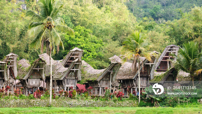 印度尼西亚，苏拉威西，Tana Toraja，传统村庄
