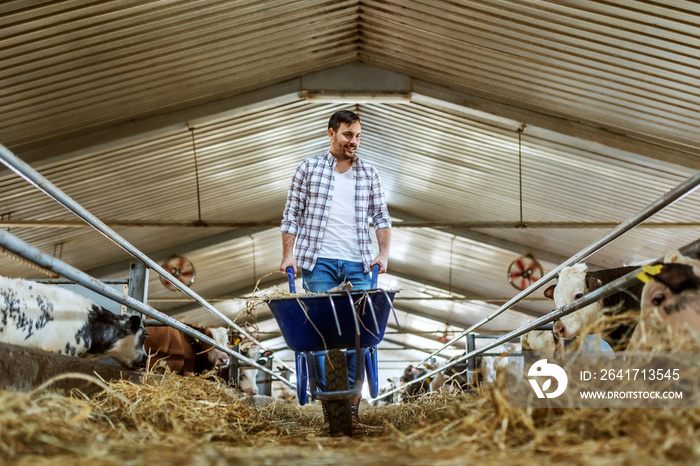 Full length of handsome caucasian farmer in jeans and plaid shirt pushing wheelbarrow with hay and l