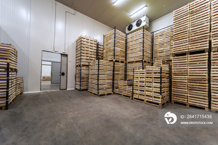 Fruits in crates ready for shipping. Cold storage interior.