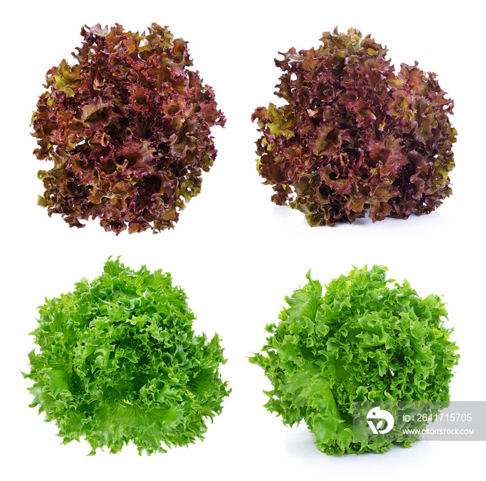 白色背景下分离的新鲜绿色生菜和红色生菜叶子