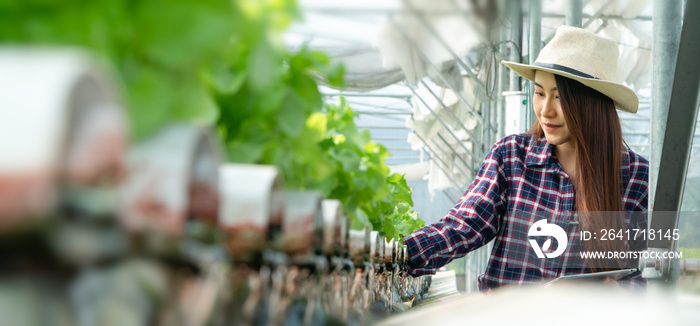 Asian woman farmer check salad vegetable growth and use tablet for control water, light, temperature