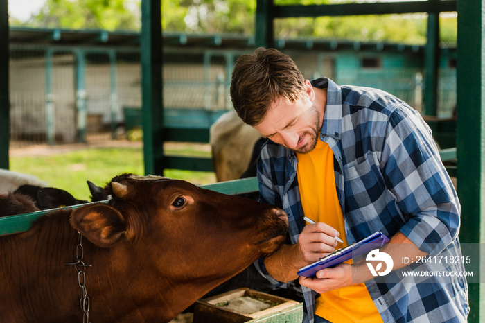 rancher in checkered shirt writing on clipboard while standing near brown cow