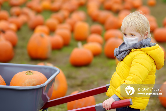 Little boy wearing face mask and keeping social distancing on tour of a pumpkin farm at autumn. Kid 