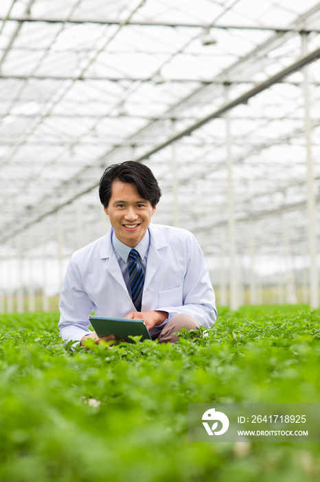 Scientist in rows of plants in greenhouse, holding digital tablet