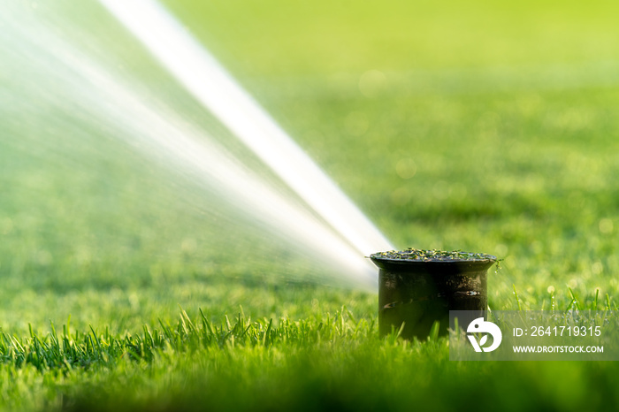 watering the lawns of sports grounds with the help of automatic spray systems
