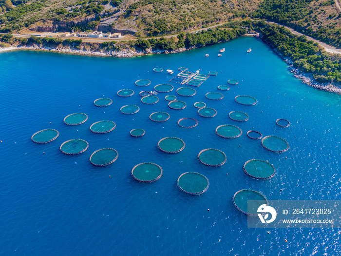 科孚岛鸟瞰图，展示三文鱼养殖场