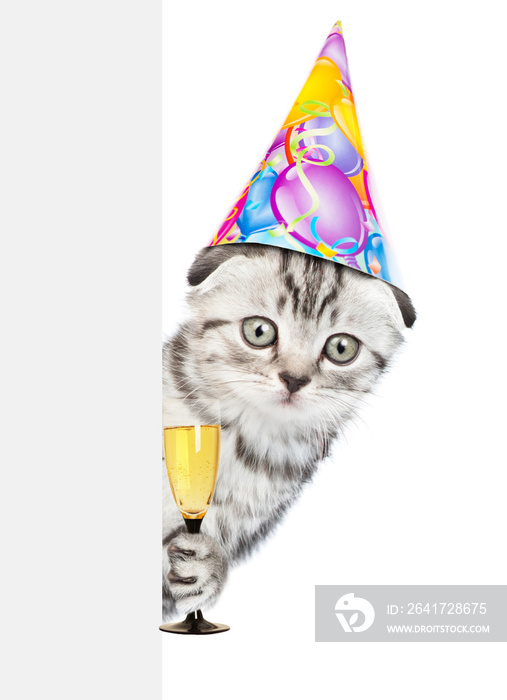 Tabby cat in birthday hat holding glass of champagne behind empty white banner. isolated on white ba