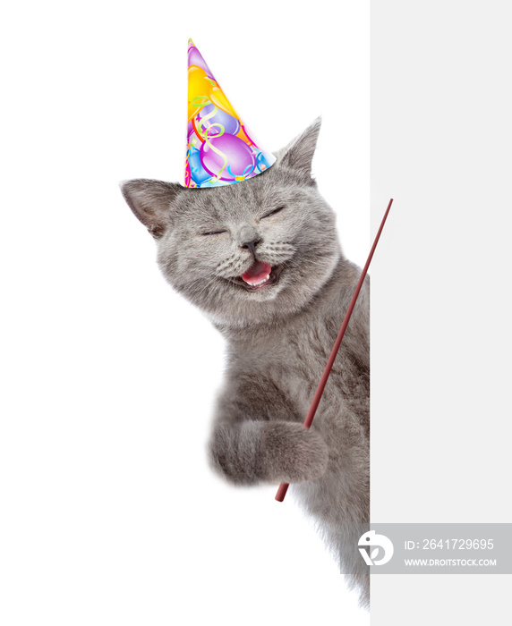 戴着生日帽的快乐猫拿着指点棒，指着空横幅。被隔离在白坝上