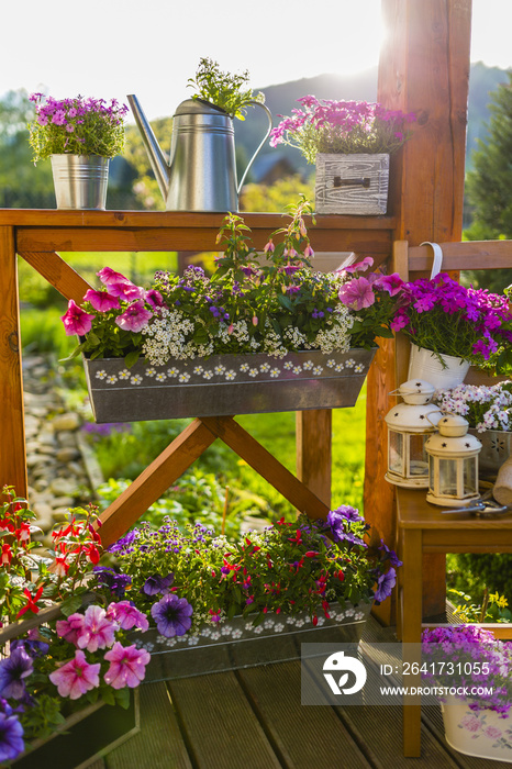 阳台盒子里的鲜花和鲜花装饰。