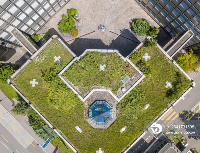 Aerial view of rooftop garden in urban residential area