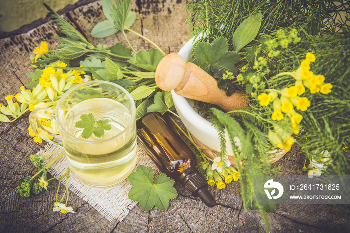 Top view of different wild herbal medicinal plants gathered on wooden table( Alchemilla vulgaris, co