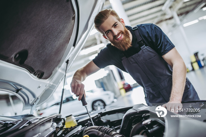 Handsome auto service mechanic