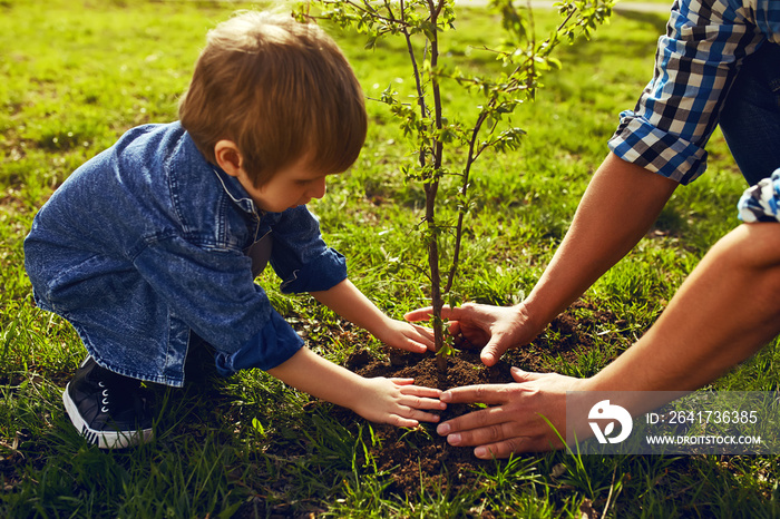 little boy helping his father to plant the tree while working together in the garden. sunday. smilin