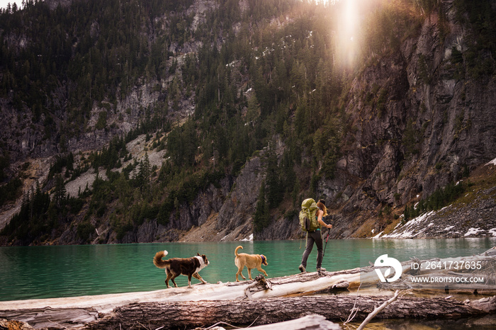 Woman hiking along lake with dogs,