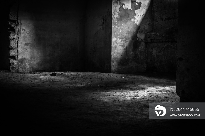 Basement of Daugavpils fortress in colors and black and white