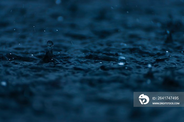 雨季雨水落在地上。