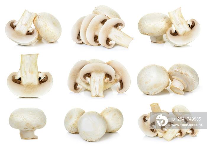 Sliced Champignon mushroom isolated