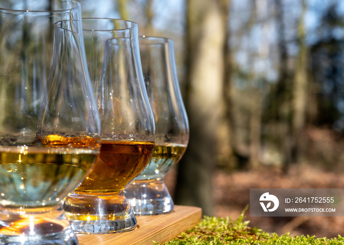 品尝来自艾莱岛的苏格兰单一麦芽威士忌，在所有威士忌中味道最浓