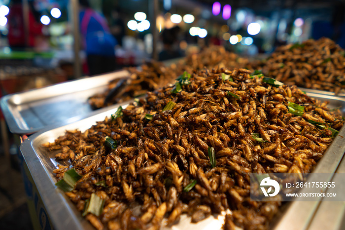 泰国曼谷街头油炸昆虫食品